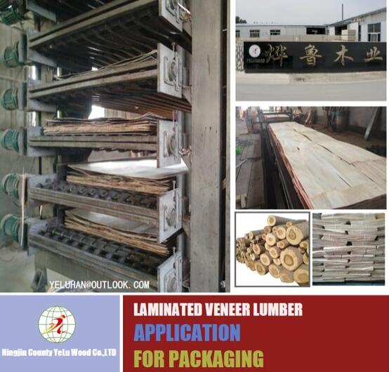 lvl wooden plywood for packing raw material promotion timber product